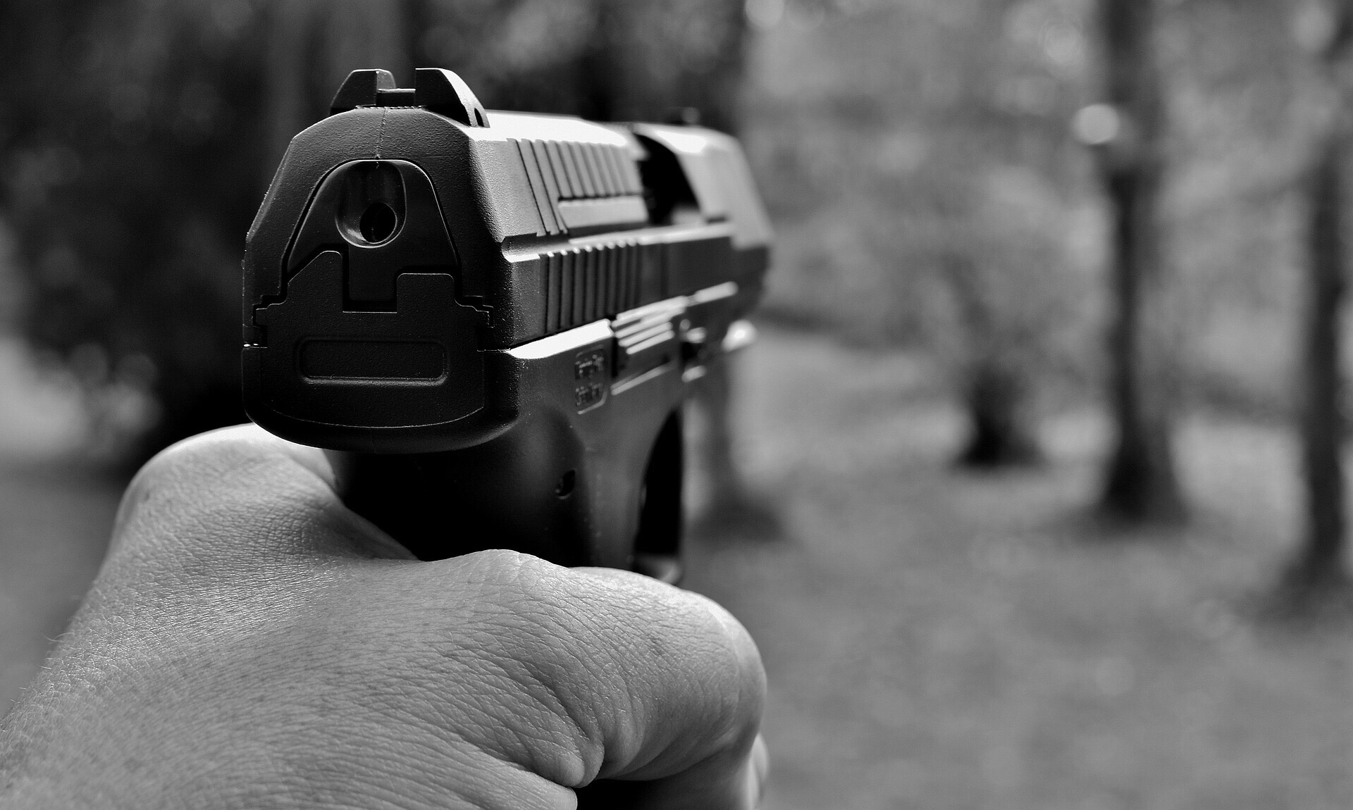walk away alive from guns