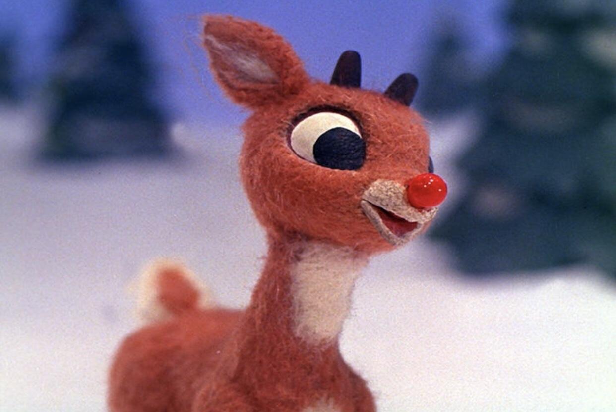 Anyone criticizing Rudolph is a moron