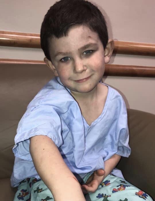 Brave Boy Saves Sister & Dog