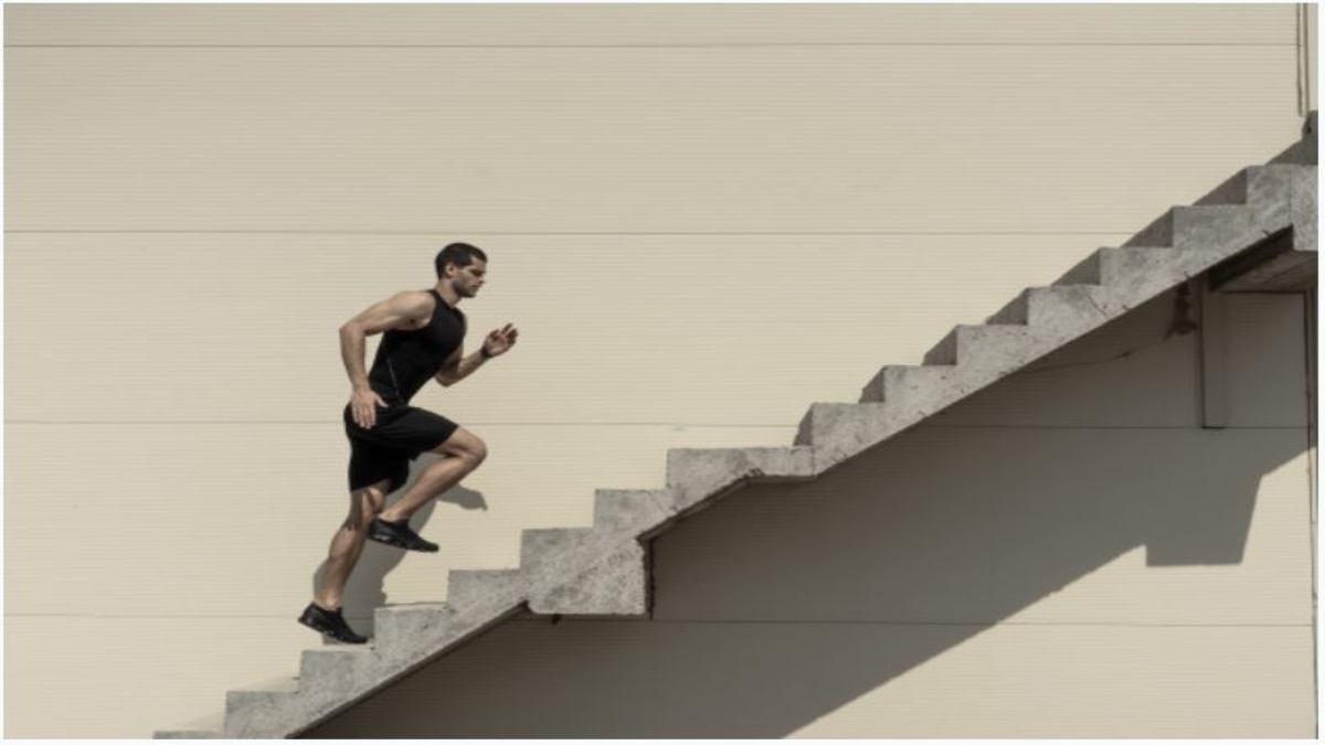 Deconstructing the DNA of Success