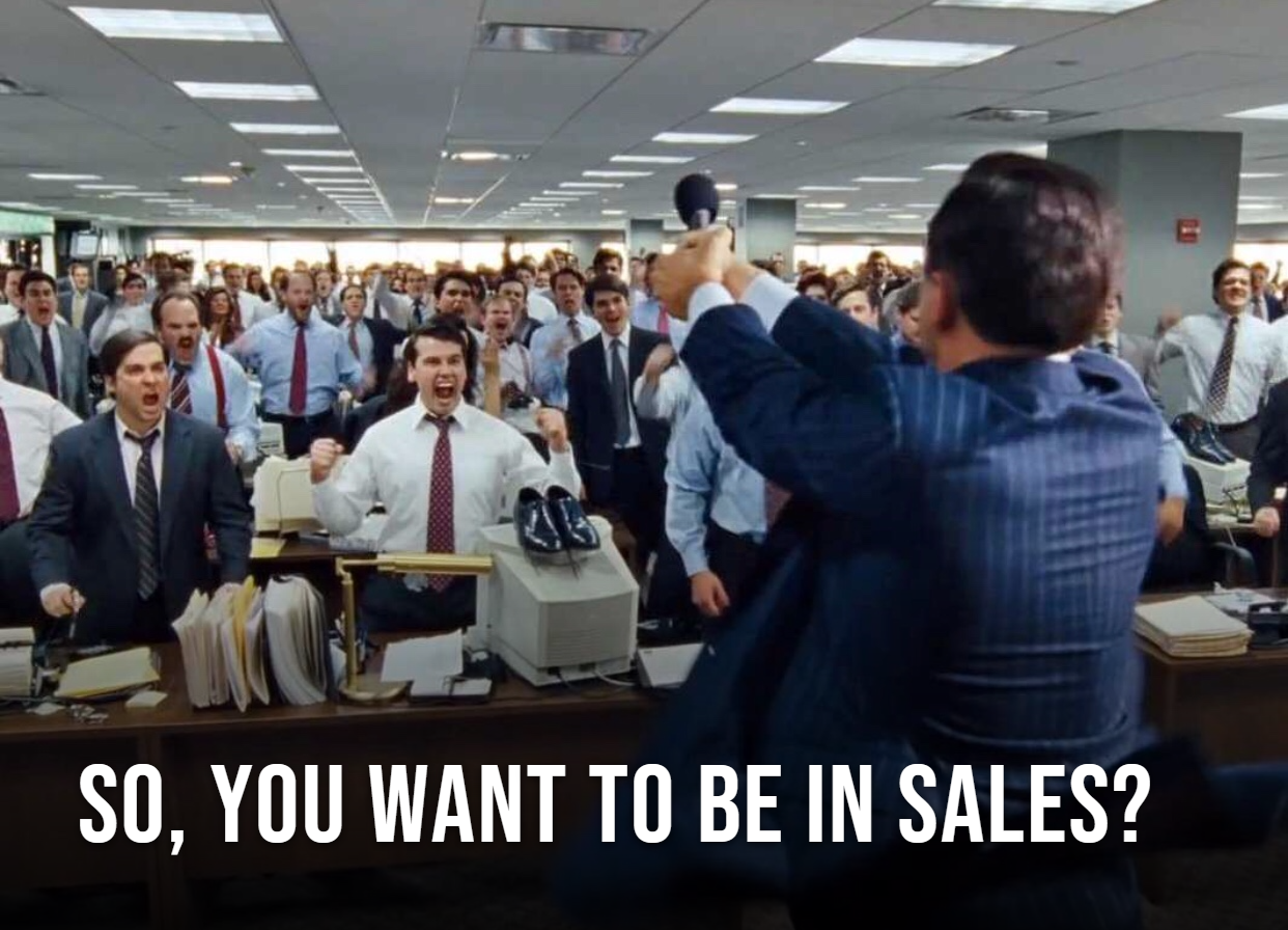 So, You Want to Work in Sales?
