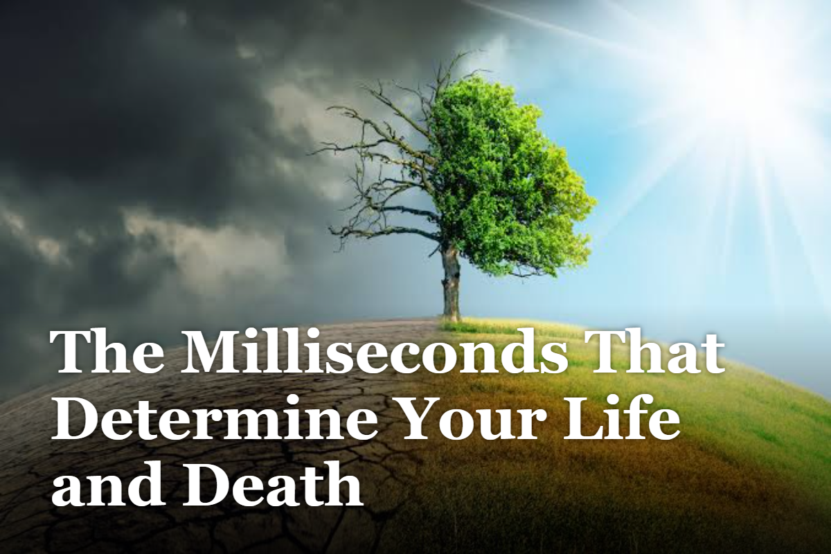 The Milliseconds That Determine Your Life and Death